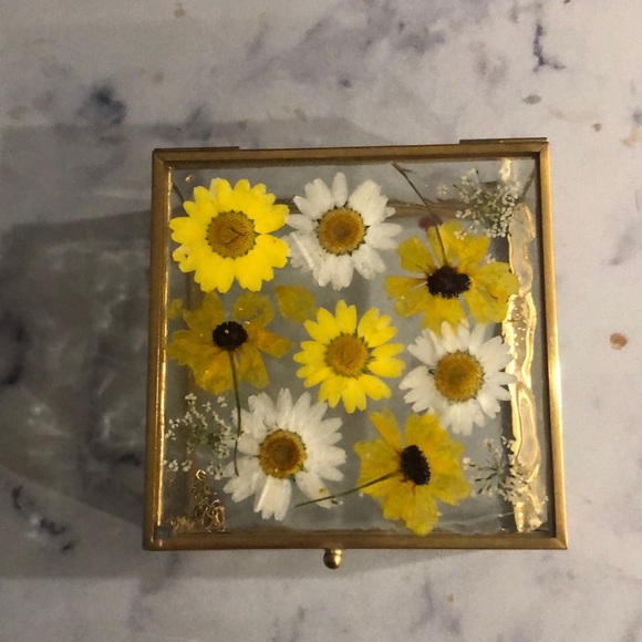 Glass Box - Picture 1 of 2